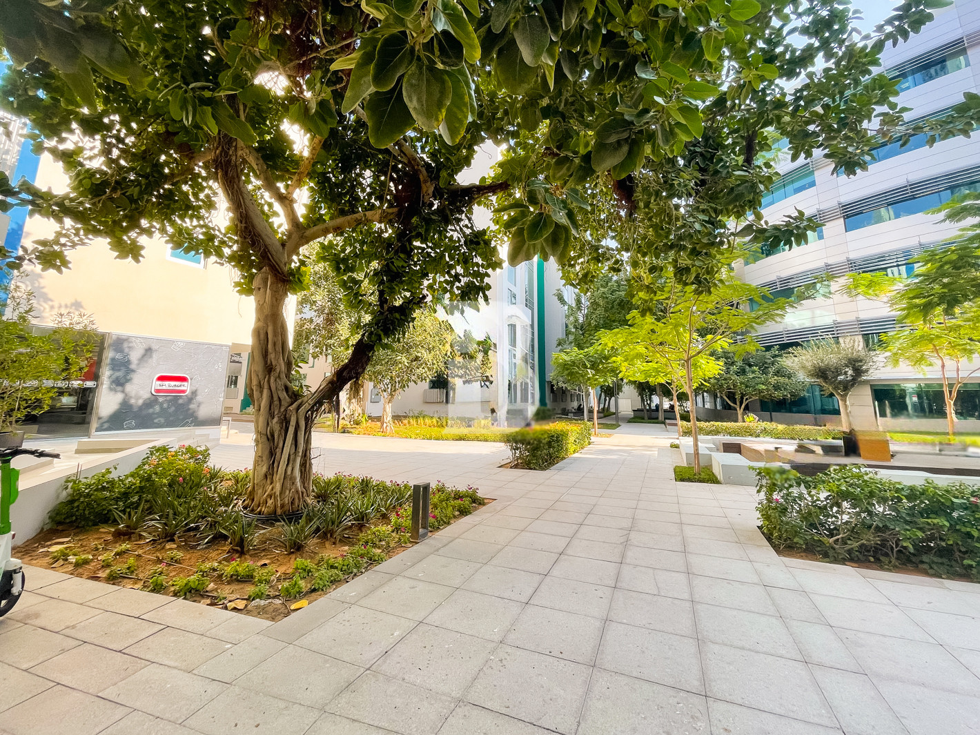 Fitted Duplex Office | Terrace | DDA License