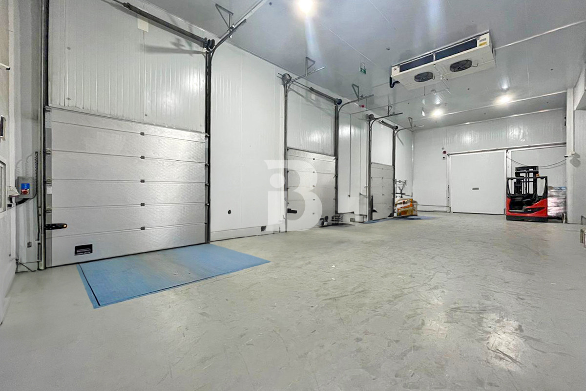 HUGE COLD STORAGE | BILLS INCLUDED | BRAND NEW