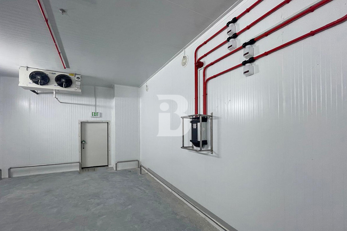 HUGE COLD STORAGE | BILLS INCLUDED | BRAND NEW