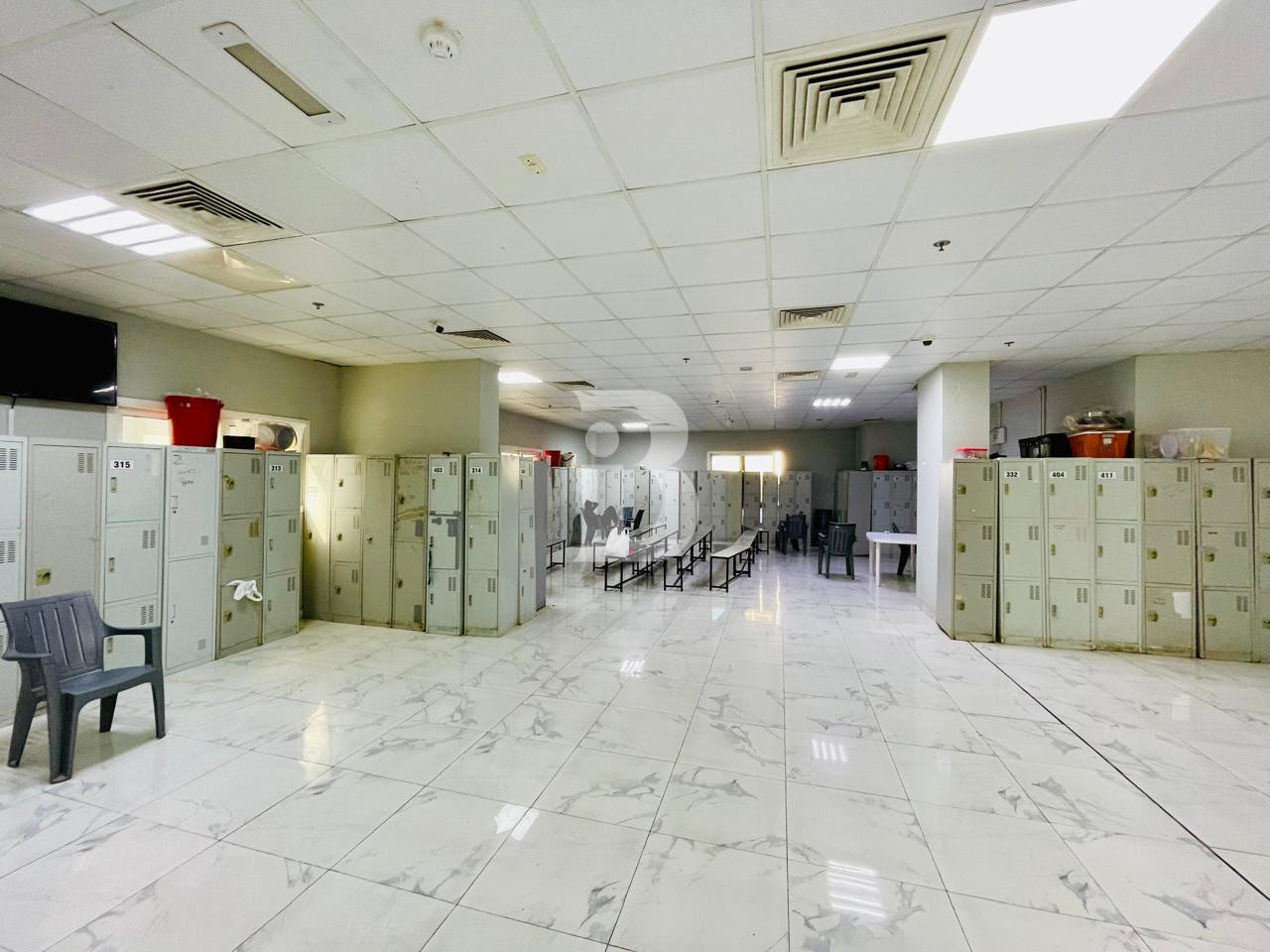 Labor Rooms Available I Ready to Move I DIP 2