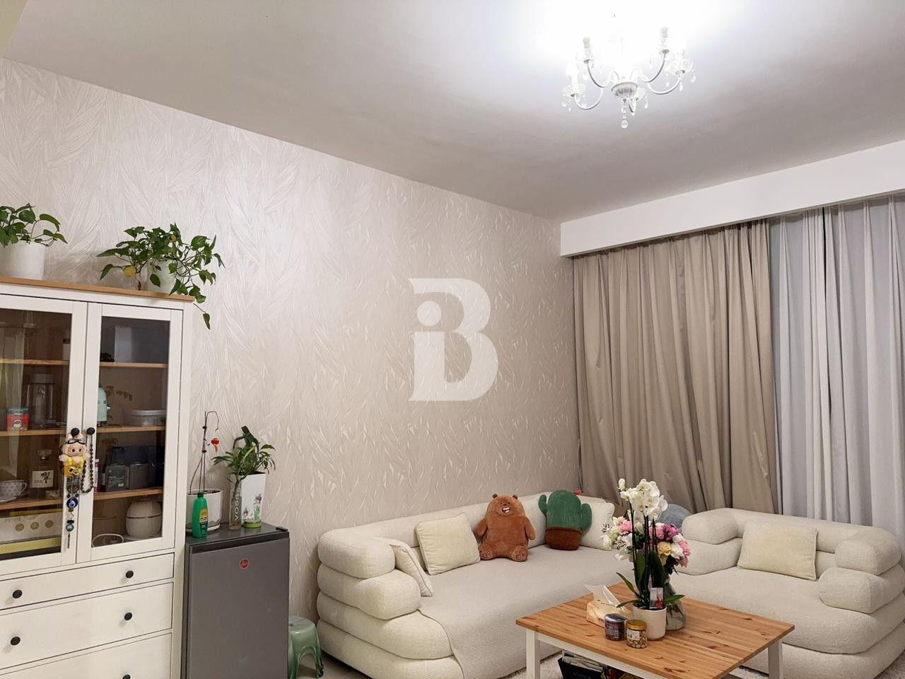 Park view | Big Layout | Fully Furnished