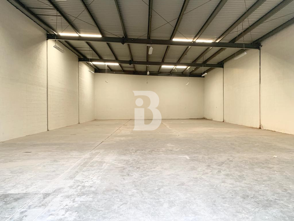 Premium Multi-Unit Warehouse in DIP 2 | High ROI