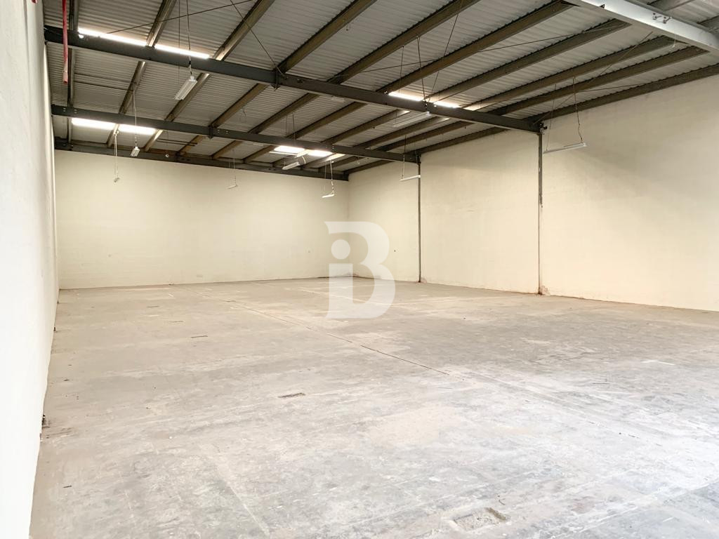 Premium Multi-Unit Warehouse in DIP 2 | High ROI