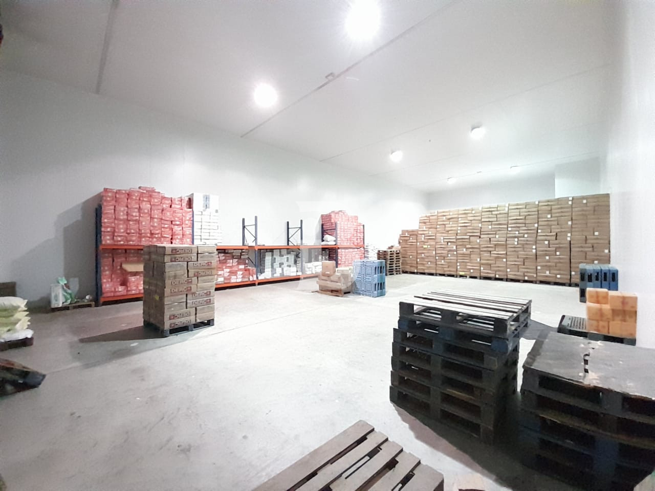 3993 Sqft Coldstore for Rent in DIP