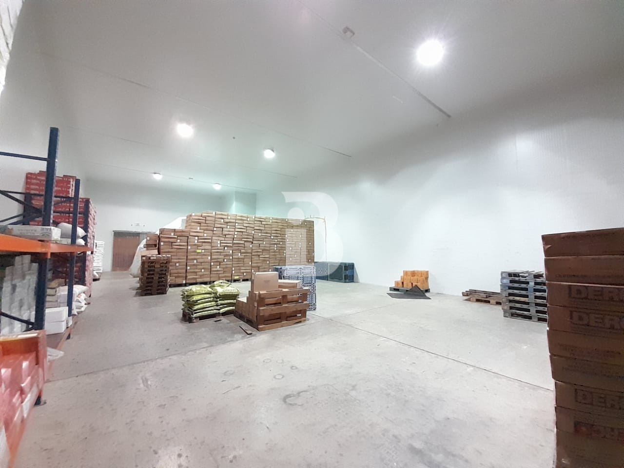 3993 Sqft Coldstore for Rent in DIP