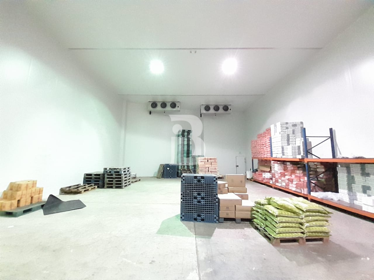 3993 Sqft Coldstore for Rent in DIP