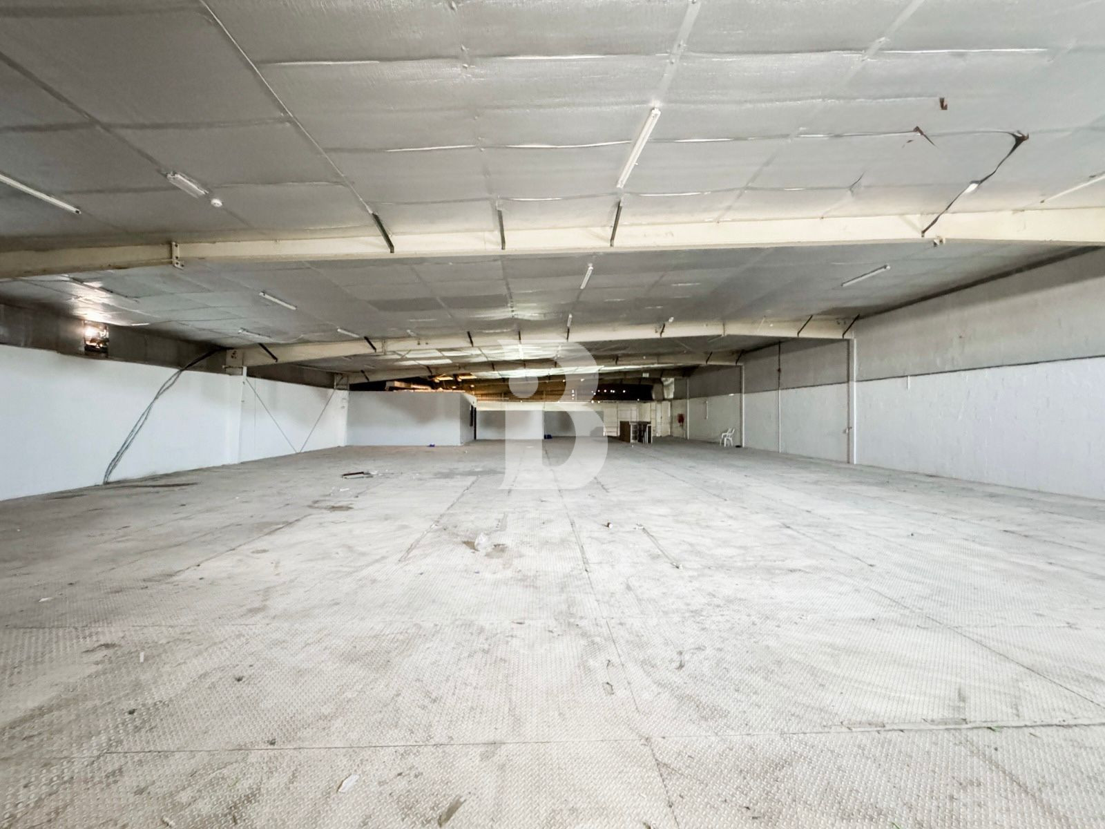 No DREC | Premium Warehouse | 100 + KW