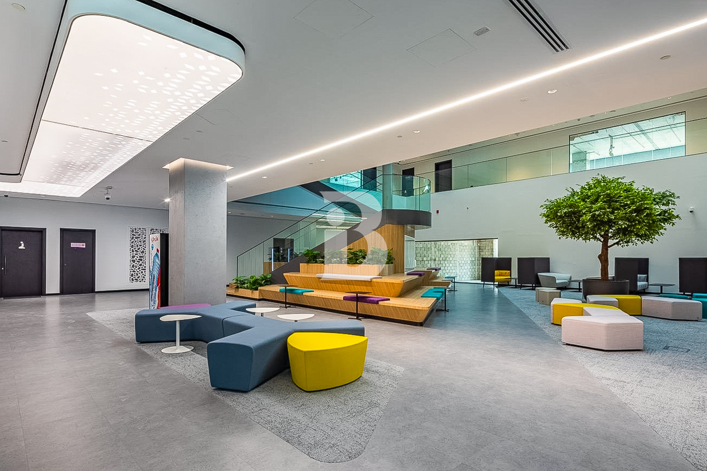 New | With Licenses/Visas | Budget Premium Office